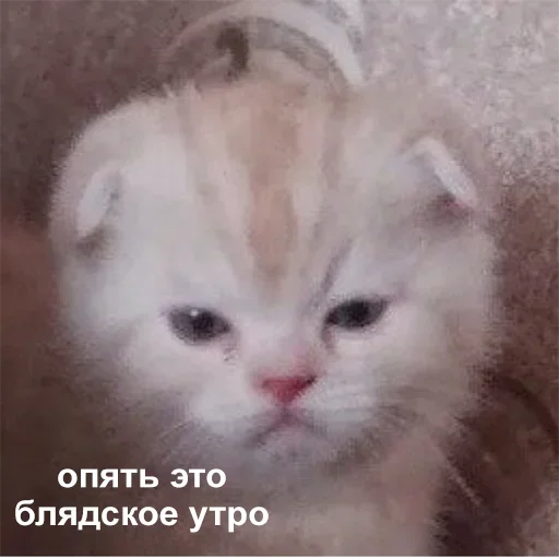 Эмодзи Angry