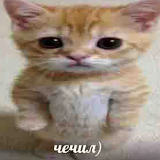 Эмодзи чткл