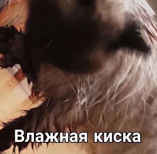 Эмодзи Черномырдин