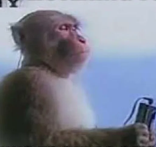 Эмодзи Monkeys