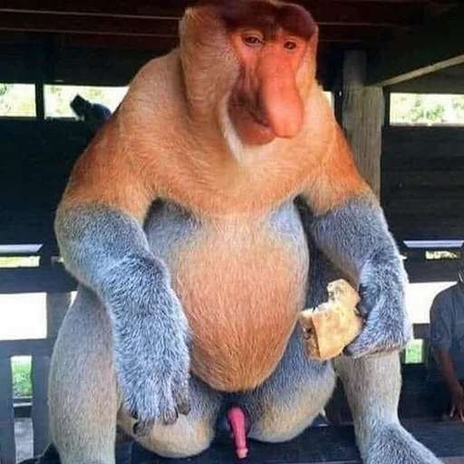 Эмодзи Monkeys