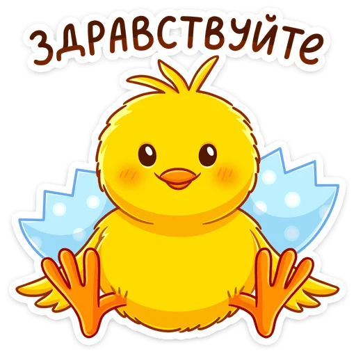 🐥