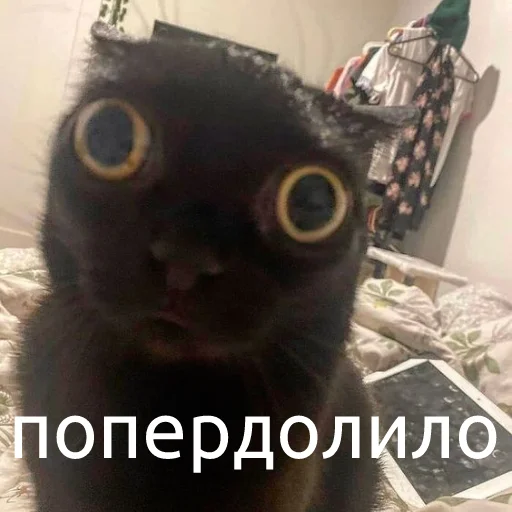 Эмодзи юкрейн мєм