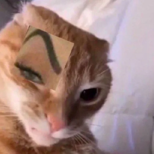 Эмодзи юкрейн мєм