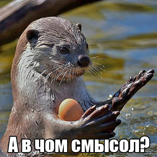 Эмодзи Выдры