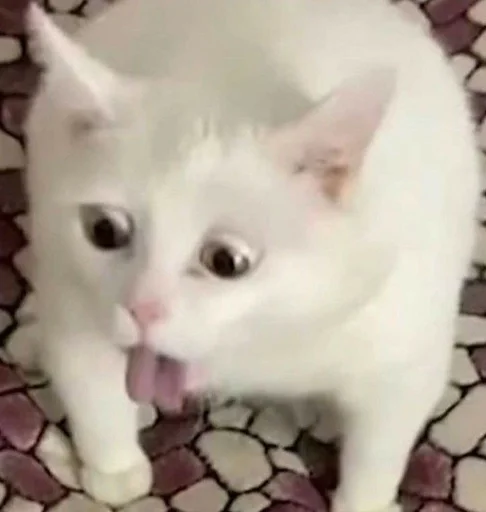 Эмодзи котики