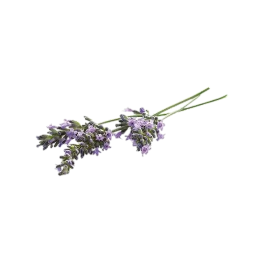 Эмодзи aesthetics