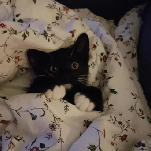 Эмодзи closticks13!