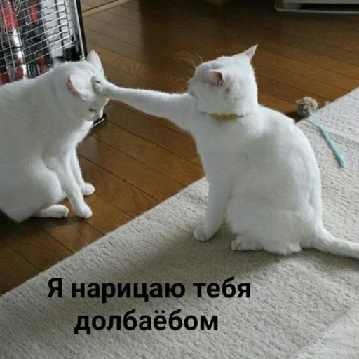 Эмодзи closticks13!