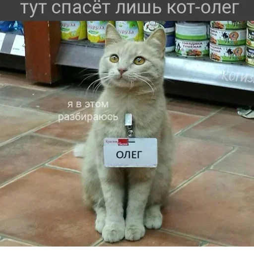 Эмодзи closticks13!