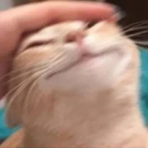 Эмодзи closticks16!