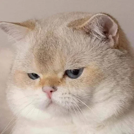 Эмодзи closticks16!