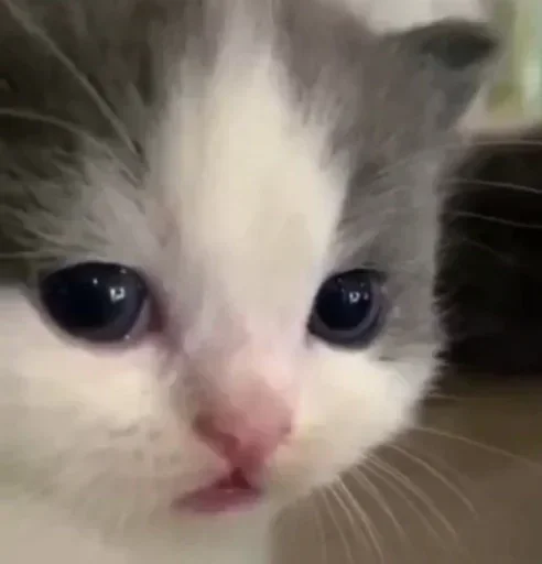 Эмодзи closticks16!