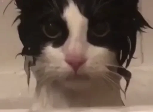 Эмодзи closticks16!