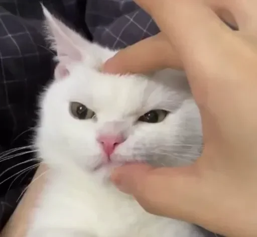 Эмодзи closticks16!