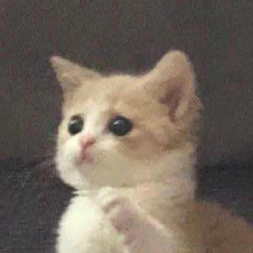 Эмодзи closticks5!