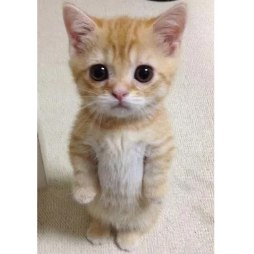 Эмодзи closticks5!