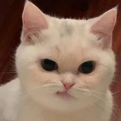 Эмодзи closticks5!