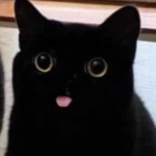 Эмодзи closticks5!