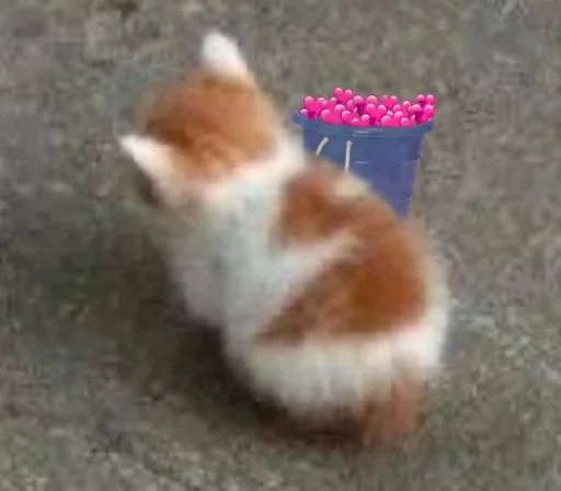❤️