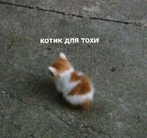 Эмодзи closticks7!