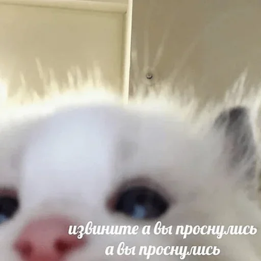 Эмодзи closticks4!