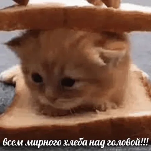 Эмодзи closticks4!