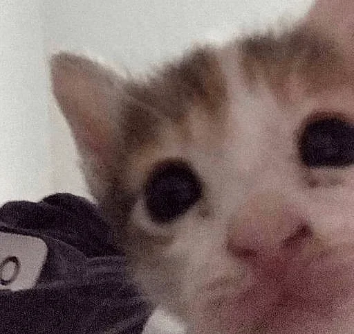 Эмодзи closticks4!