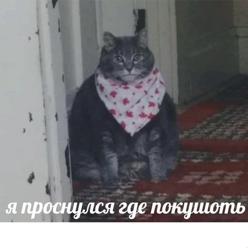 Эмодзи котикиии