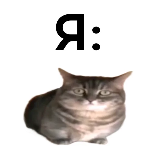 Эмодзи кокоа