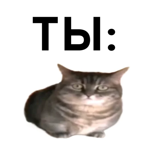 Эмодзи кокоа