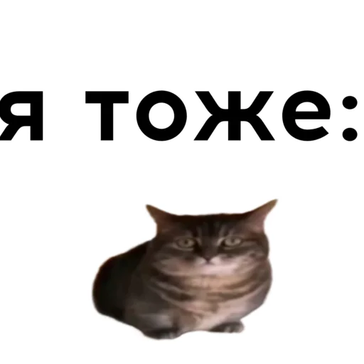 Эмодзи кокоа