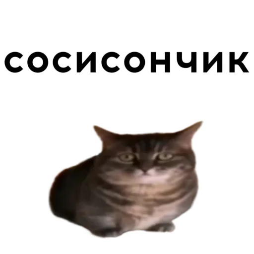 Эмодзи кокоа