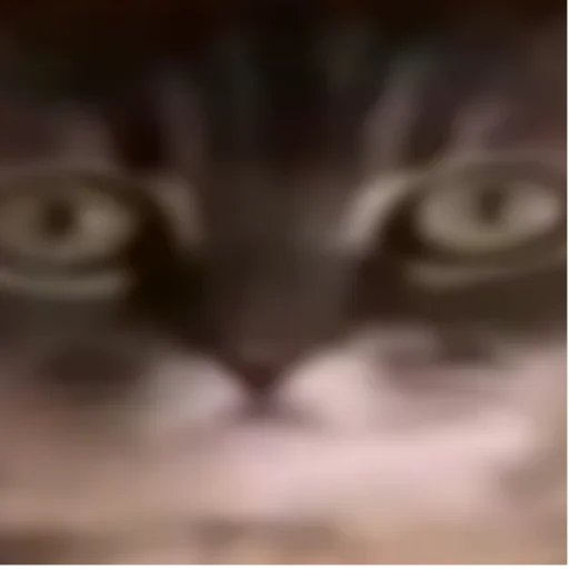 Эмодзи кокоа