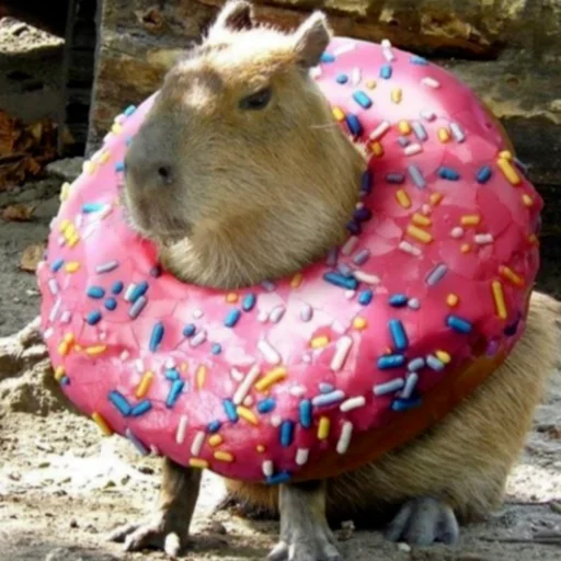 Эмодзи Capybara?