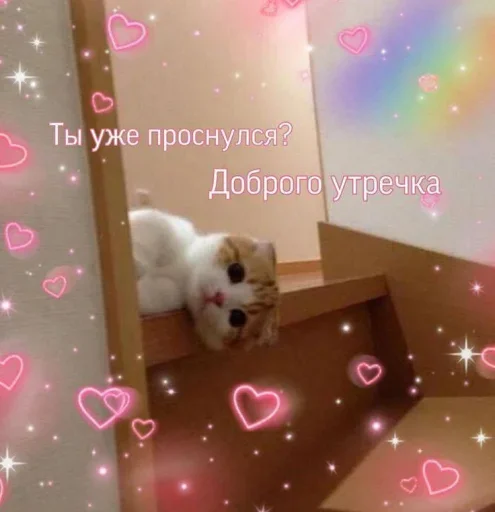 Эмодзи Котики