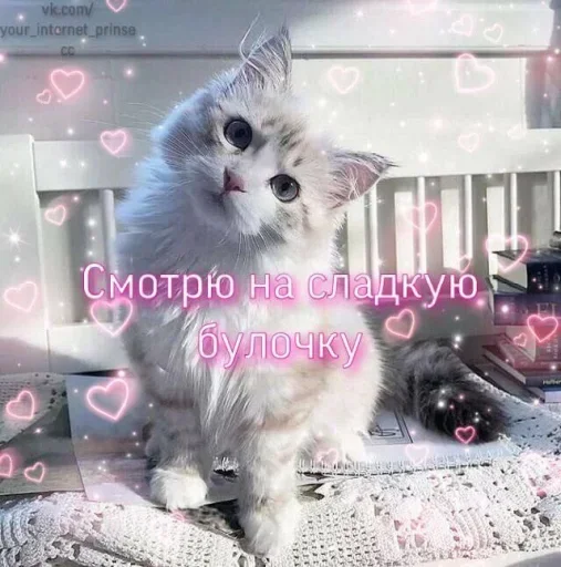 Эмодзи Котики