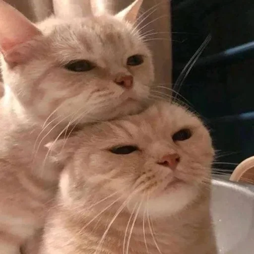 ☺️