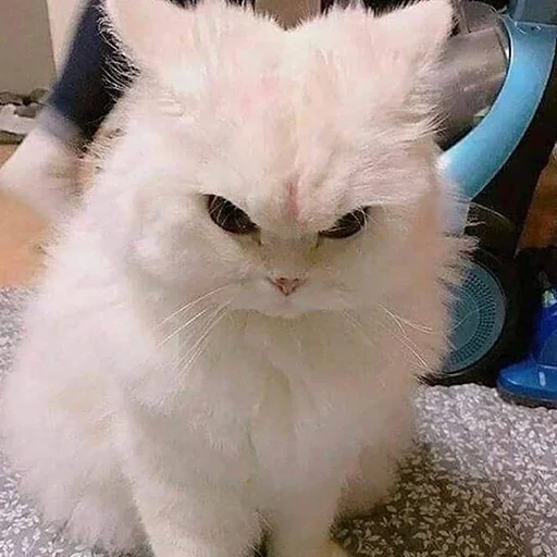 Эмодзи Смешные животные
