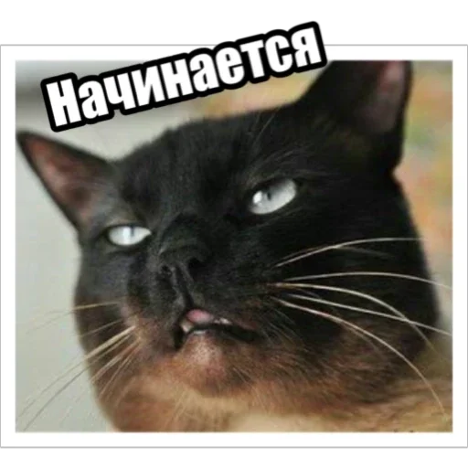 Эмодзи Экстракт
