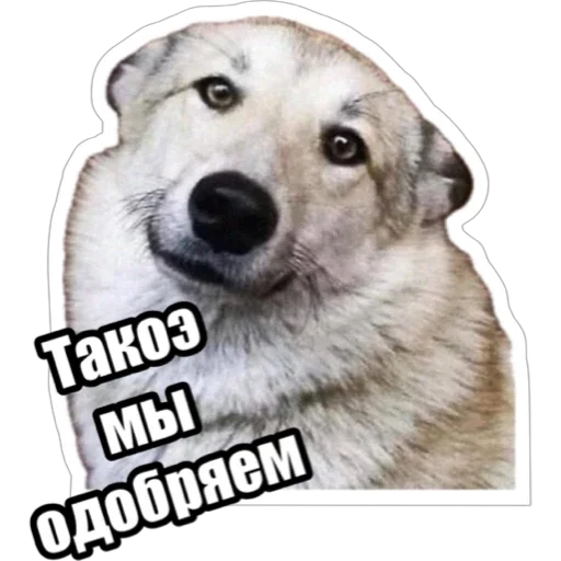 Эмодзи Экстракт