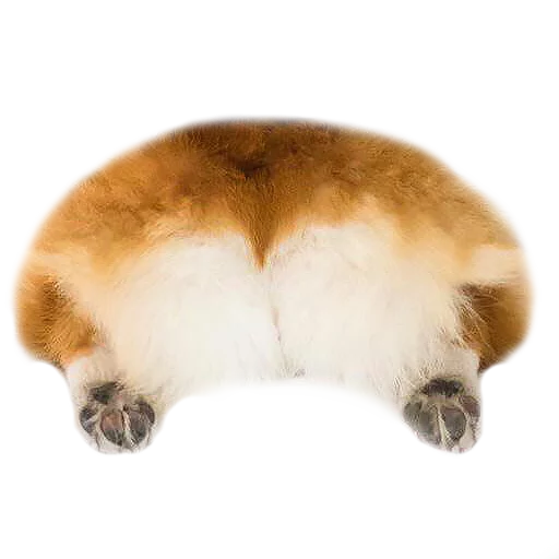 Эмодзи Corguage