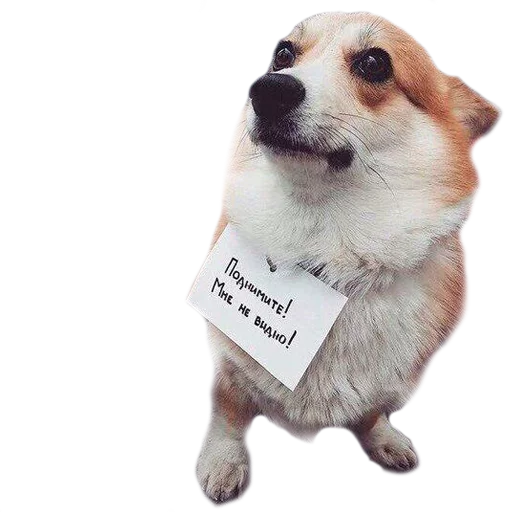 Эмодзи Corguage