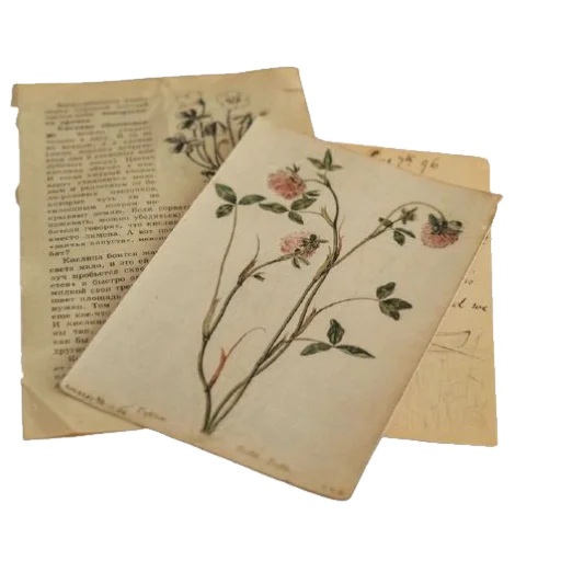 Эмодзи cottagecore