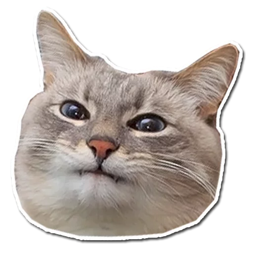 Эмодзи Stupid stickers