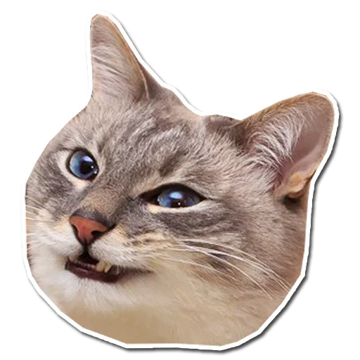 Эмодзи Stupid stickers