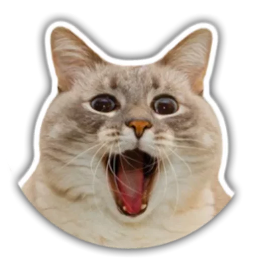 Эмодзи Stupid stickers