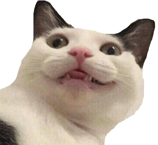 Эмодзи Stupid stickers