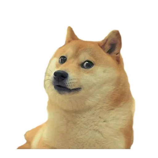 Эмодзи Stupid stickers