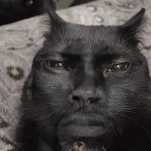 Эмодзи CriNgE AnimALs